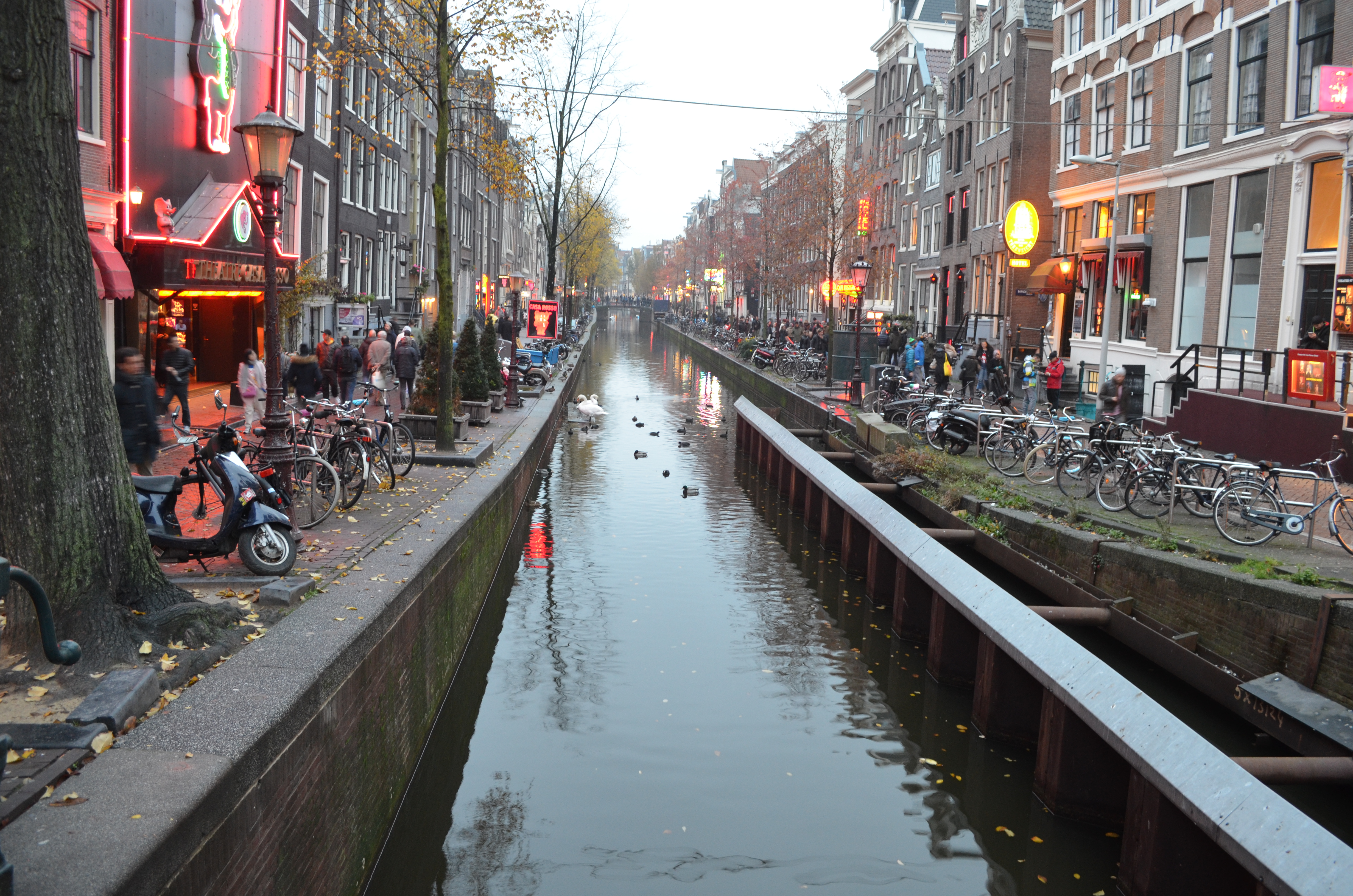 ./2017/19 - Viking Lif/13 - Amsterdam, The Netherlands/DSC_0453.JPG